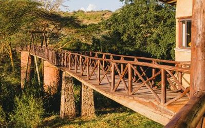 Take a Walk on the Wild Side | The Emakoko Kenya