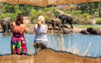 Top 10 Things to do in Livingstone, Zambia
