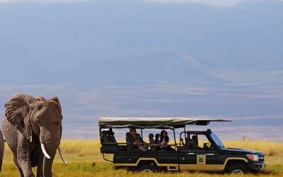 East Africa Safari Ideas for 2020