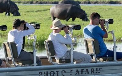Friday Focus – Creative Wildlife Photography