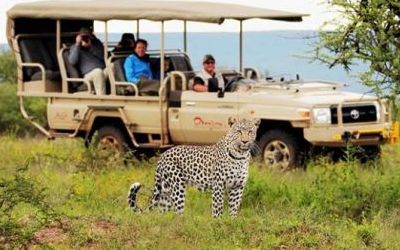 Launching Namibia’s Greenest Season Ever