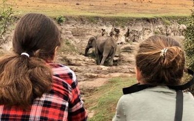 Wild Zimbabwe
