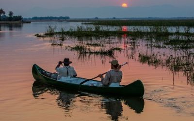 Safari specials in Zimbabwe, Botswana & Kenya