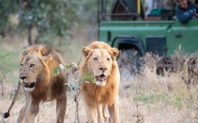 8 Things That Make South Luangwa So Special