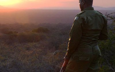 News from Secluded Africa, Kenya
