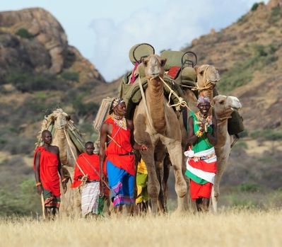Walking Safaris With Camels – Kenya